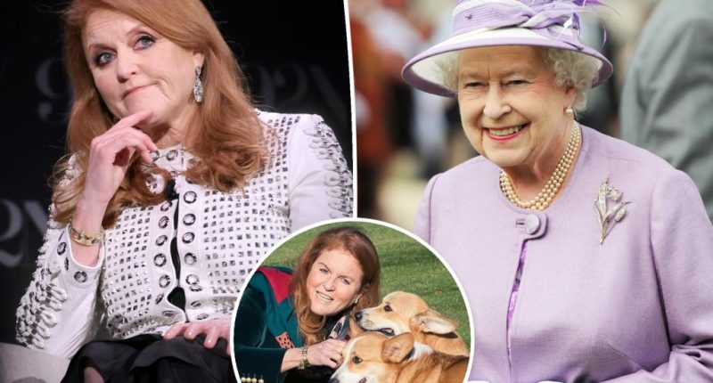 Sarah Ferguson thinks late Queen Elizabeth is âtalkingâ to her through Corgis